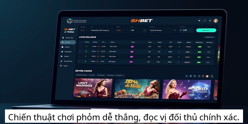 Chiến thuật chơi phỏm dễ thắng, đọc vị đối thủ chính xác.