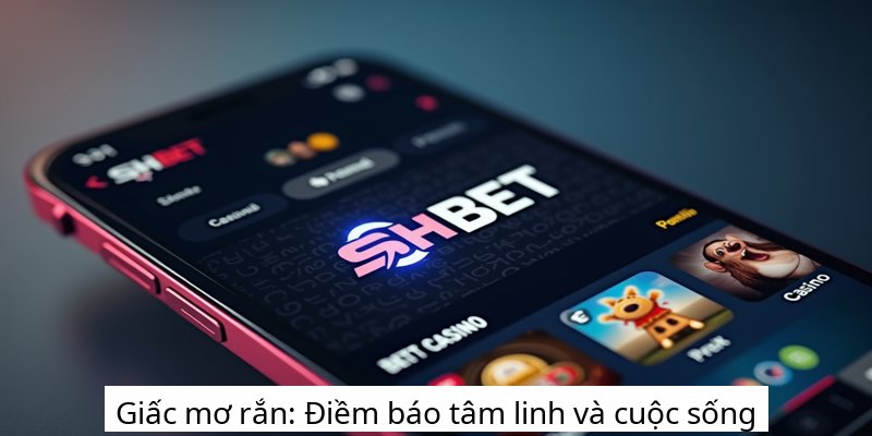 Giấc mơ rắn: Điềm báo tâm linh và cuộc sống
