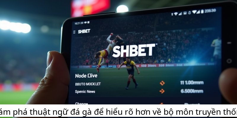 Khám phá thuật ngữ đá gà để hiểu rõ hơn về bộ môn truyền thống!